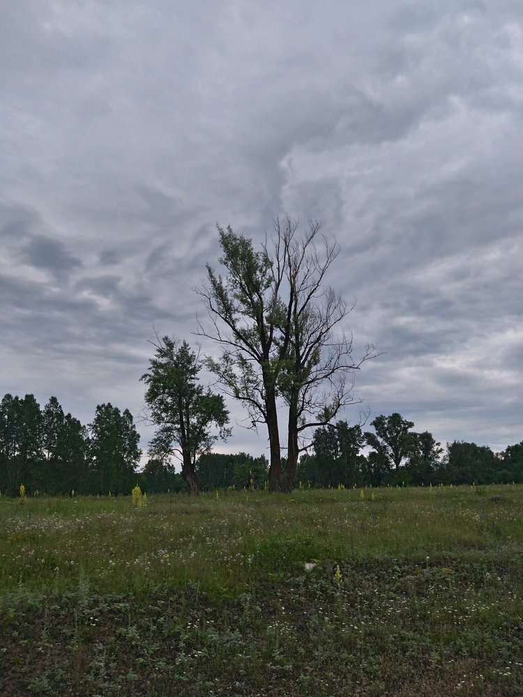 Photo #5558698
