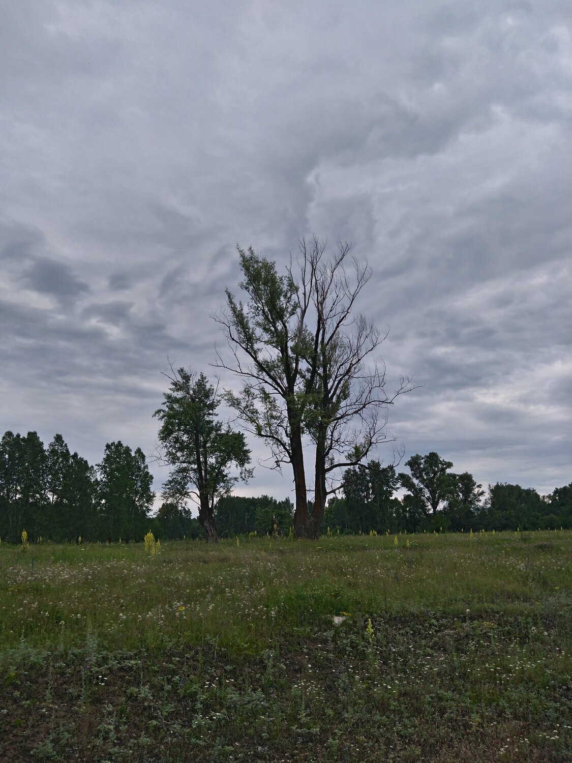 Photo #5558698
