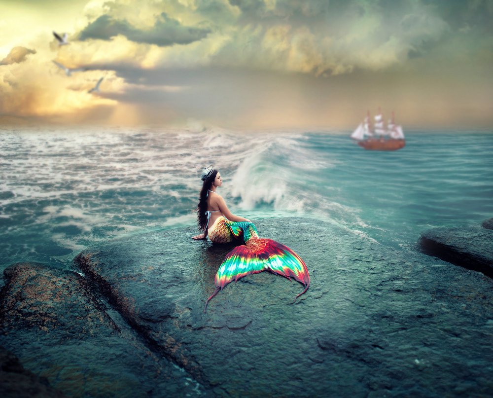 Photograph by irina kaurdakova