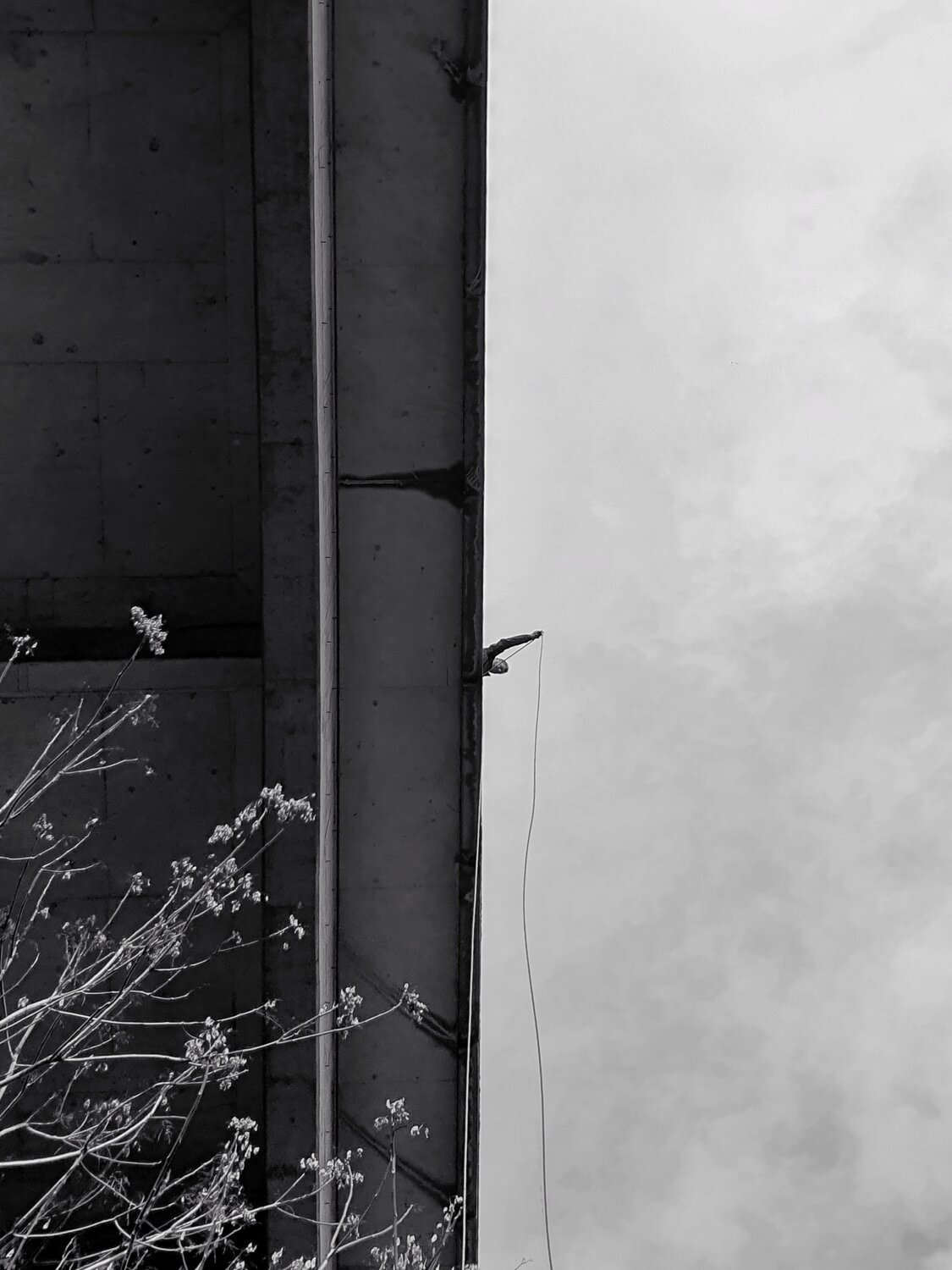 Photo #5558743