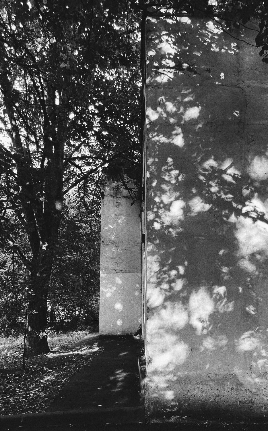 Photo #5558753