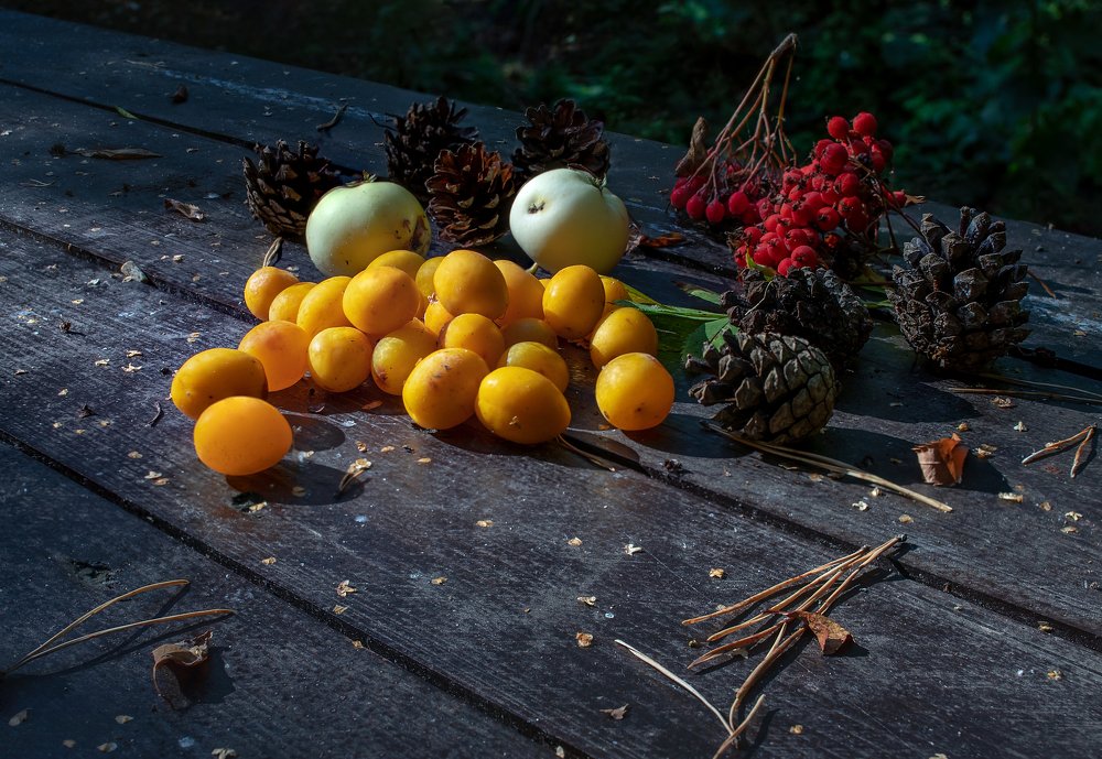 Fruits and cones gathered underfoot on the Curonian Spit