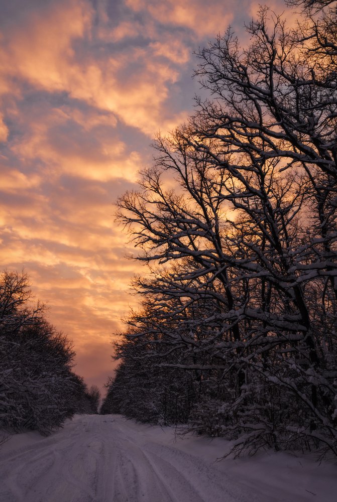 Photograph by Антон Литвин