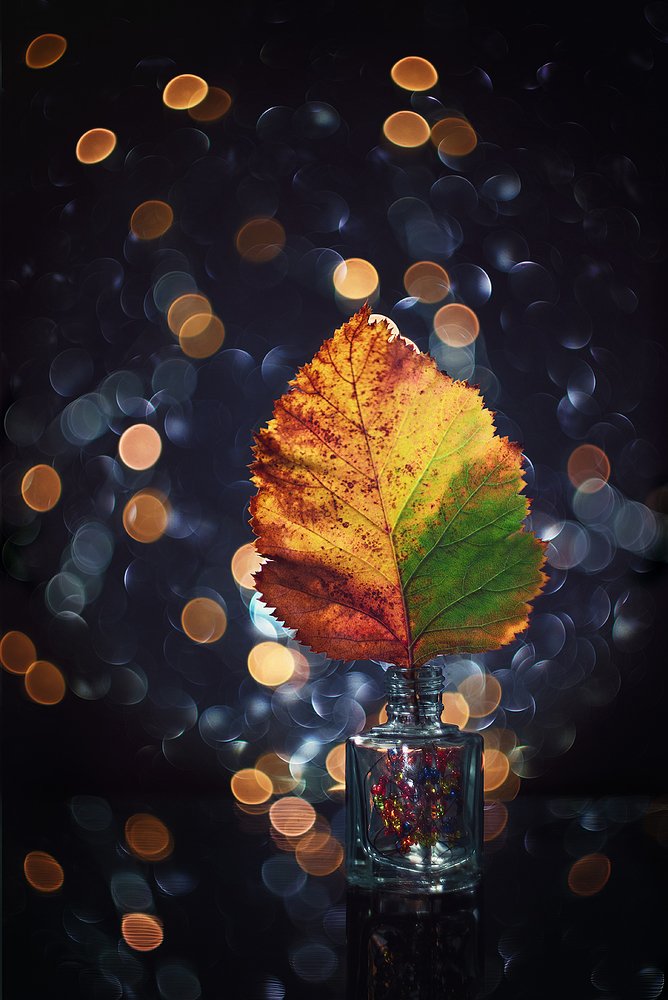 Осенний вечер с оттенками зимы...