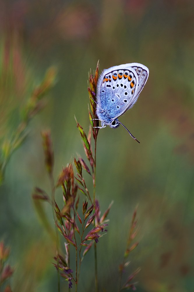 Момент спокойствия и тишины...