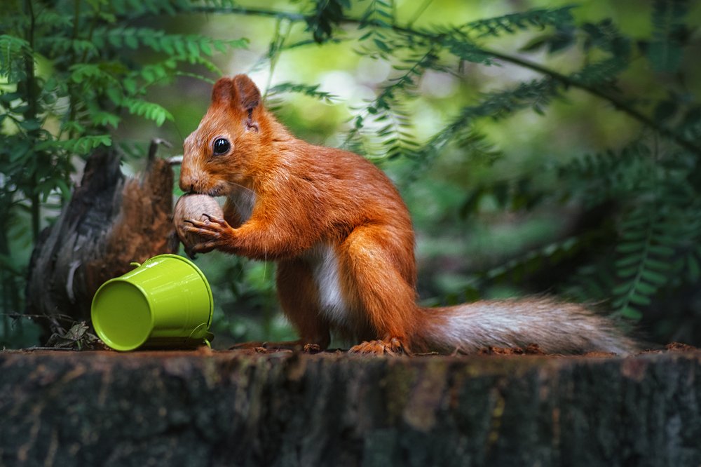 Приз найден! :)