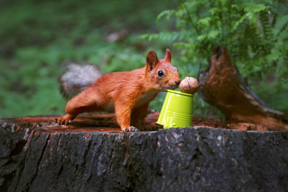 Так-так... уж не мне ли этот орешек? :)