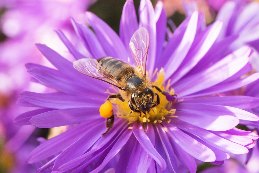 Photograph by Andrey Belov