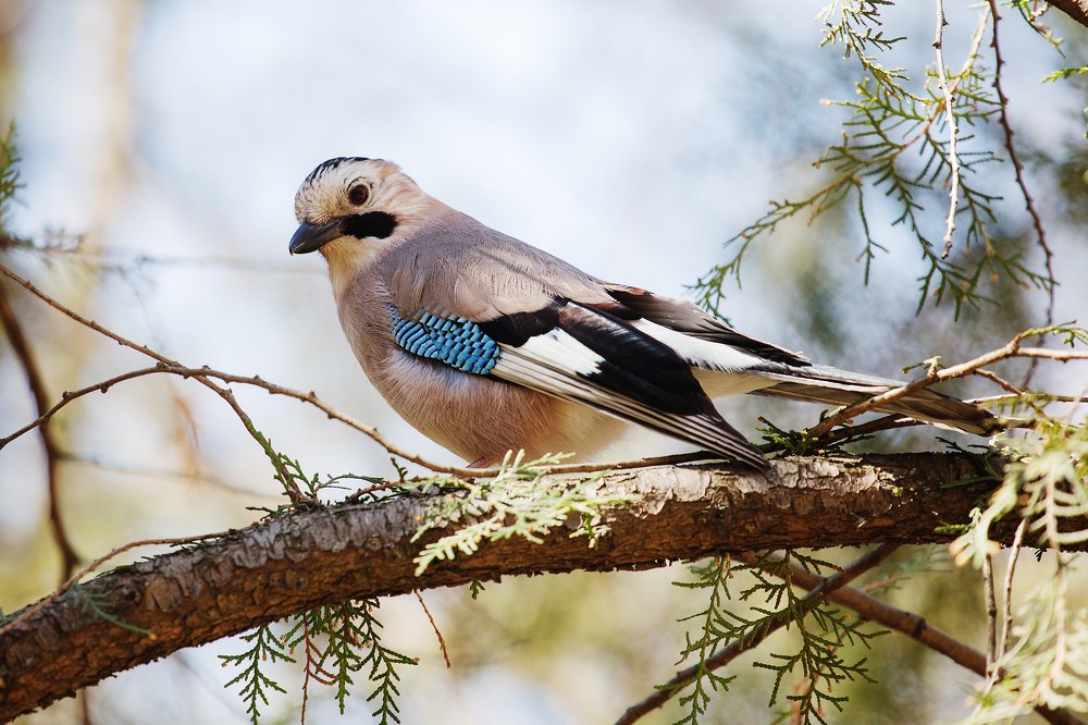 Photograph by Andrey Belov