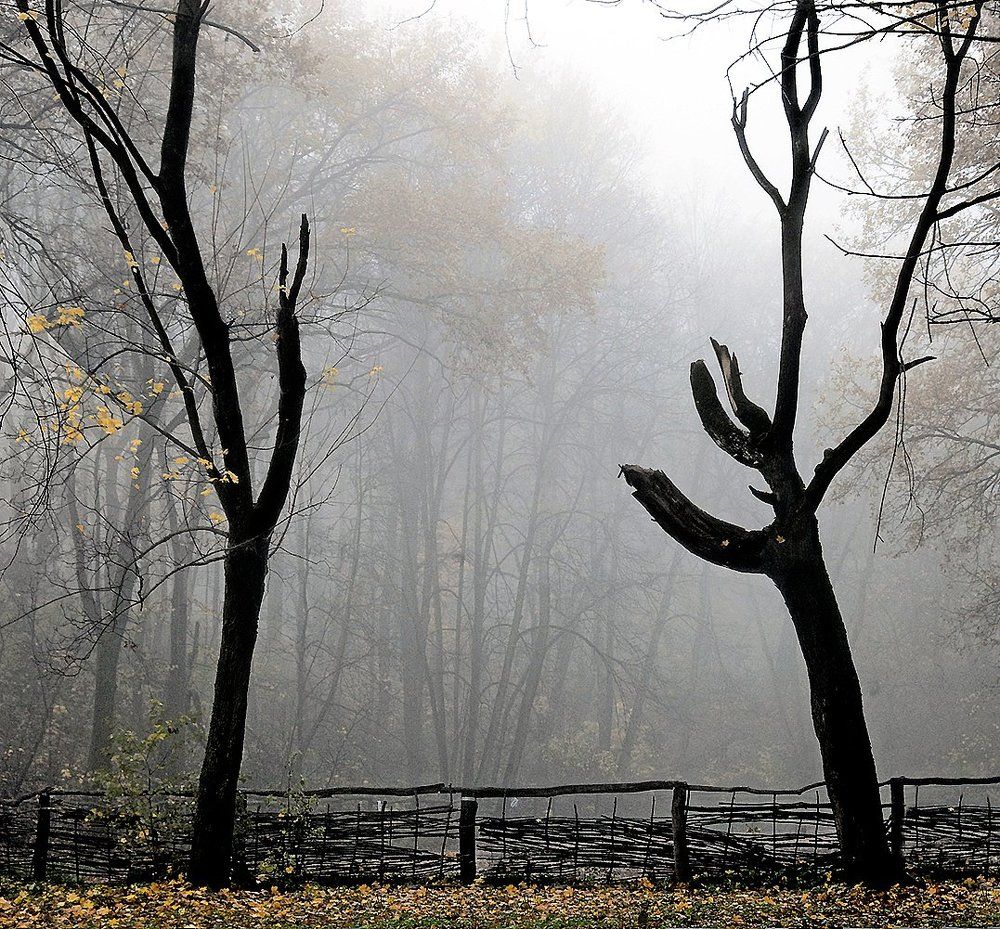 Photograph by Сергей Киселев