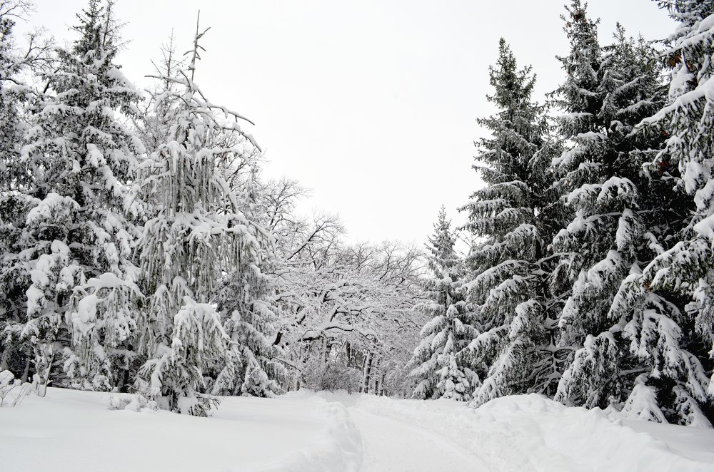 Photograph by Marina