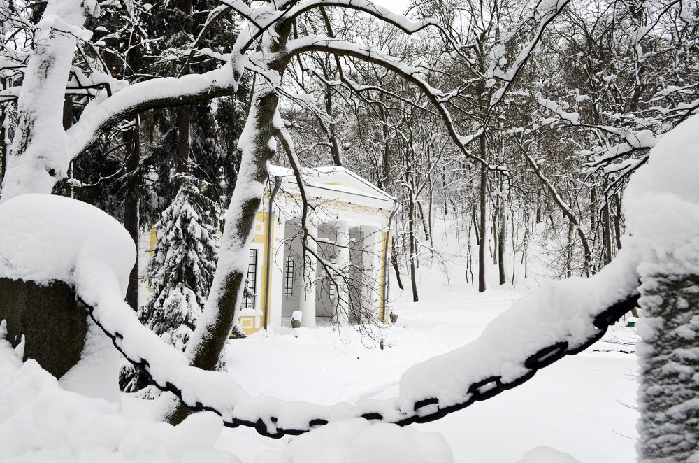 Photograph by Marina