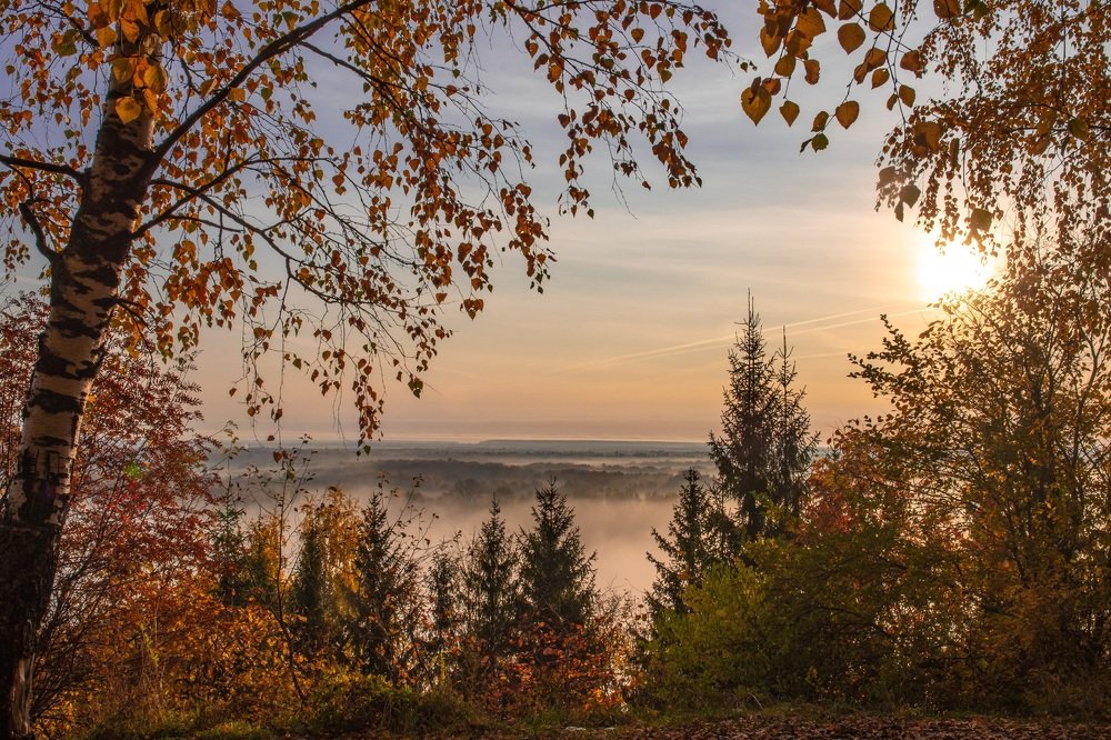 Туманная даль