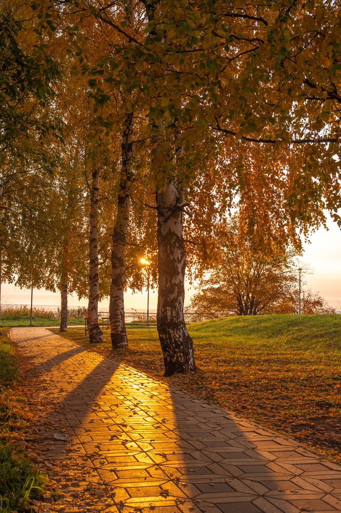 Дорожка к солнцу