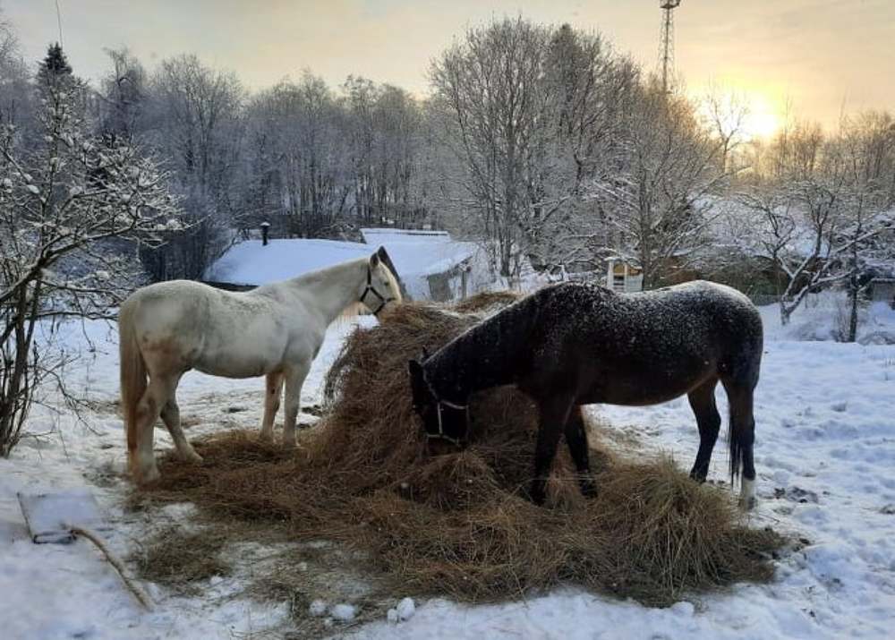 Photograph by Екатерина Шмелева