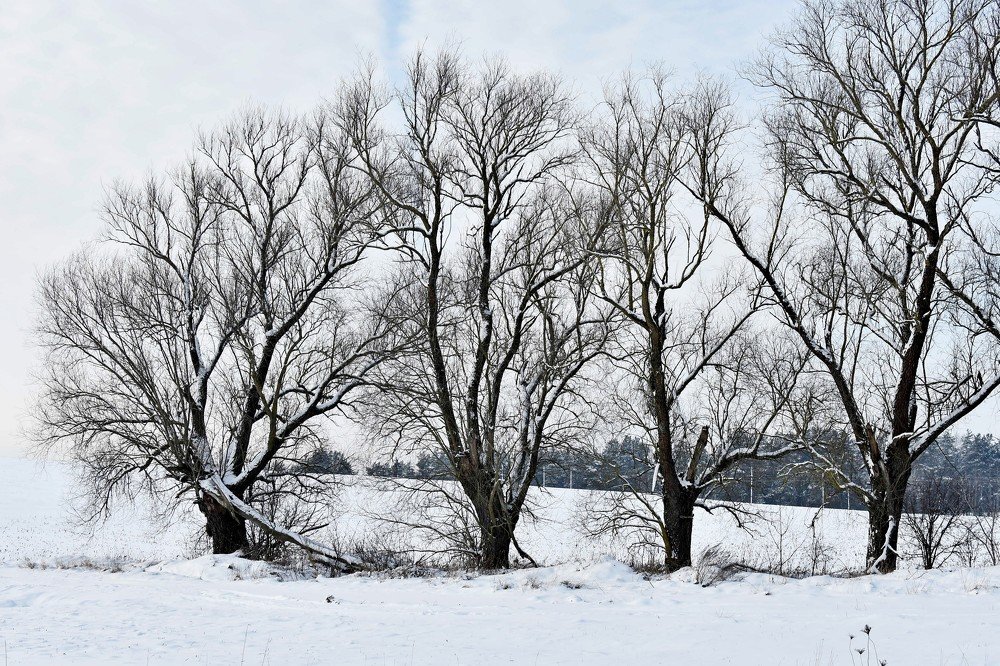 Photograph by Alexey Smal