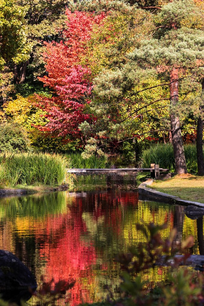 Отражение осени