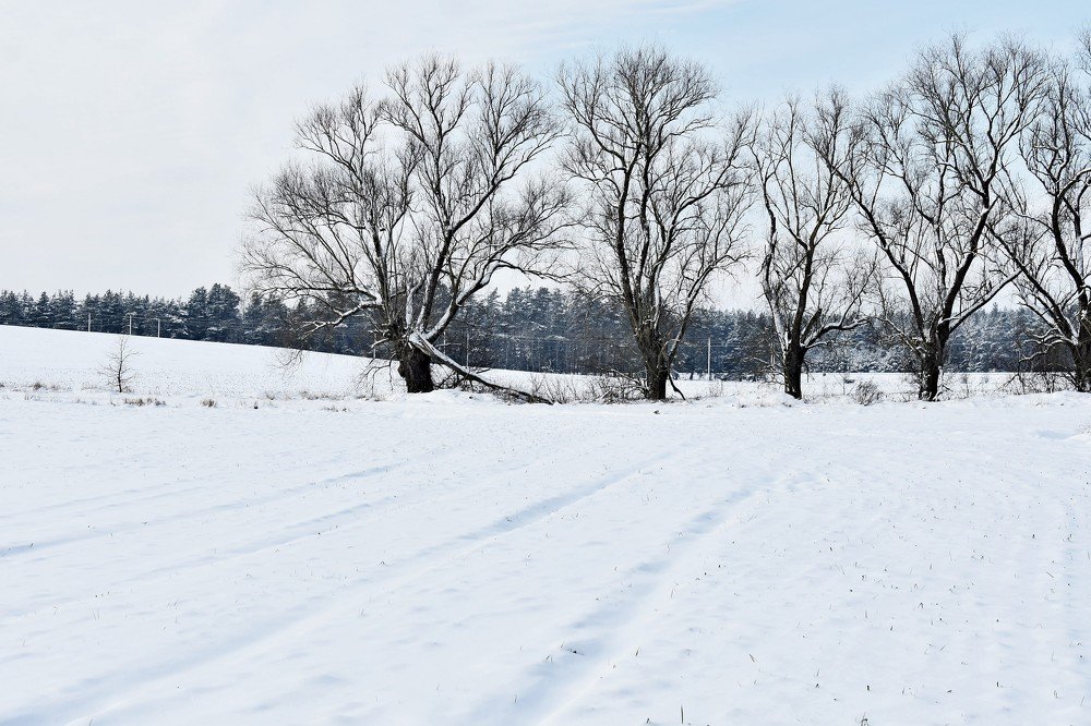 Photograph by Alexey Smal