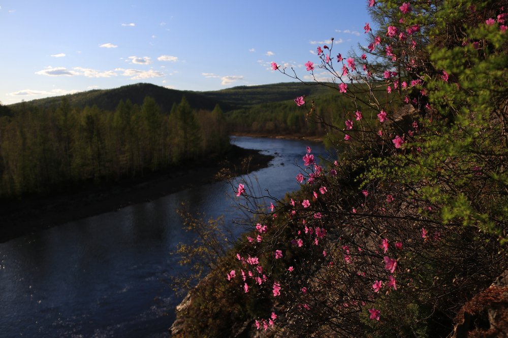 На реке Геткан