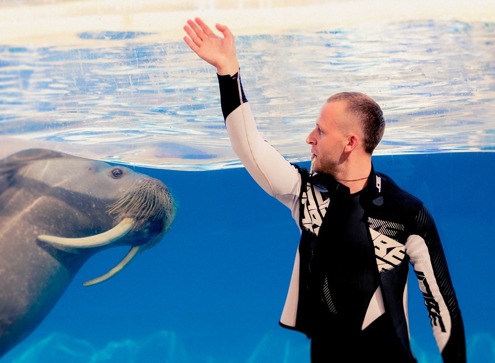 Photograph by Ali Abu Ras