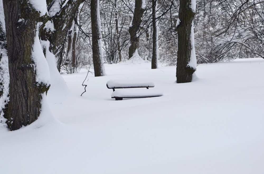 Photograph by Marina