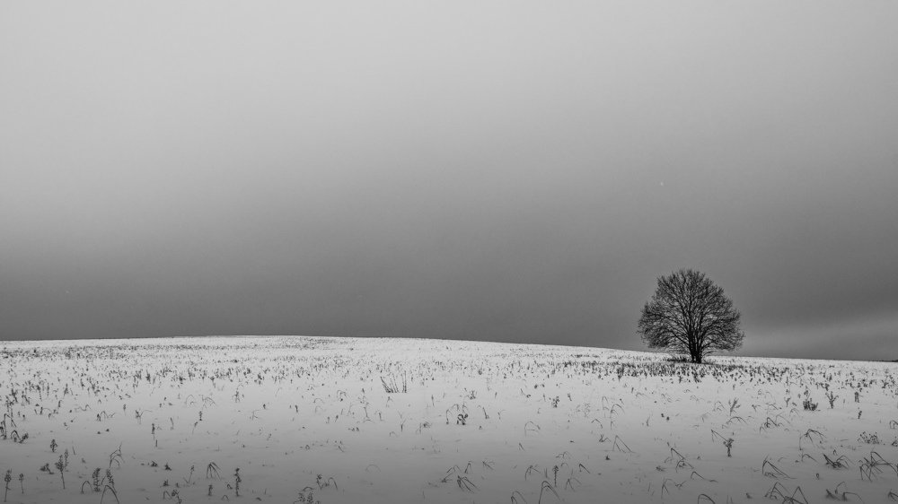 Одиночество