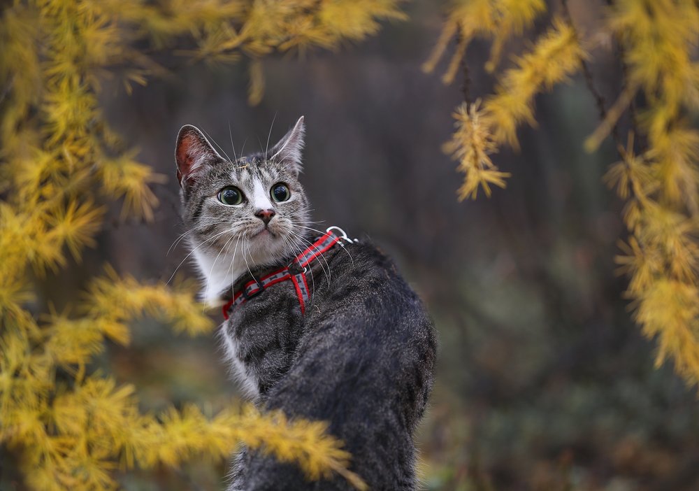 Photograph by Евгения Левина