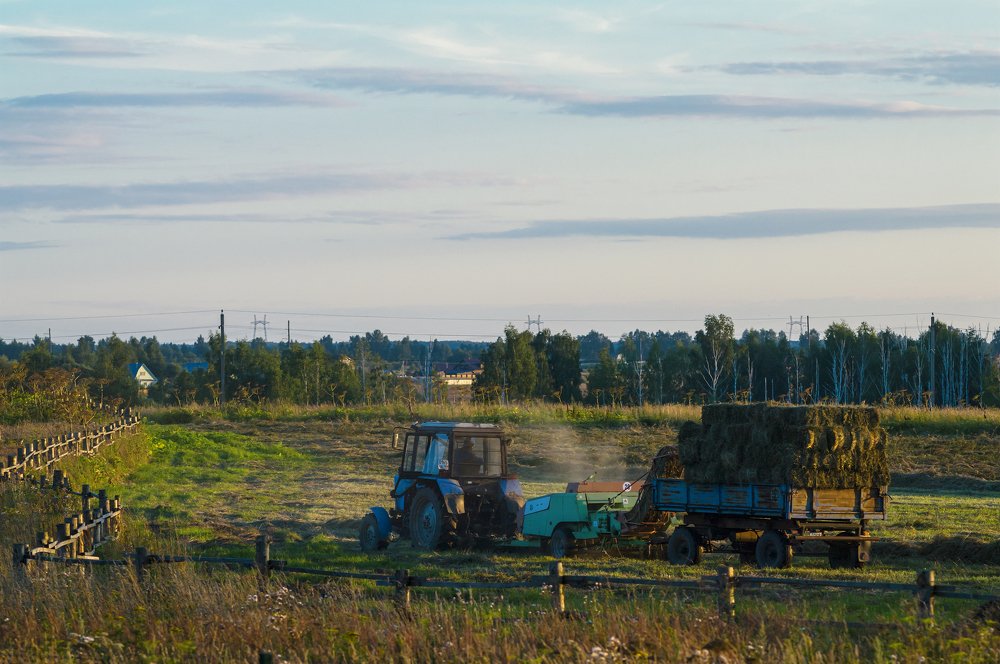 Вечер в Клементьево. Околица.