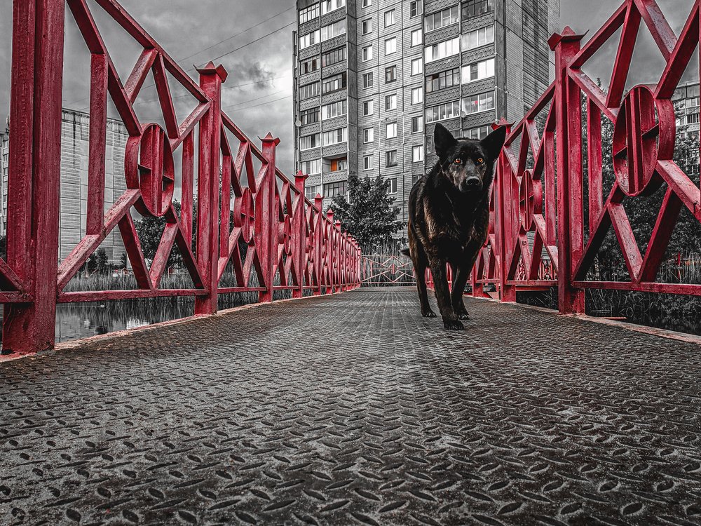 Photograph by Артем Ершов