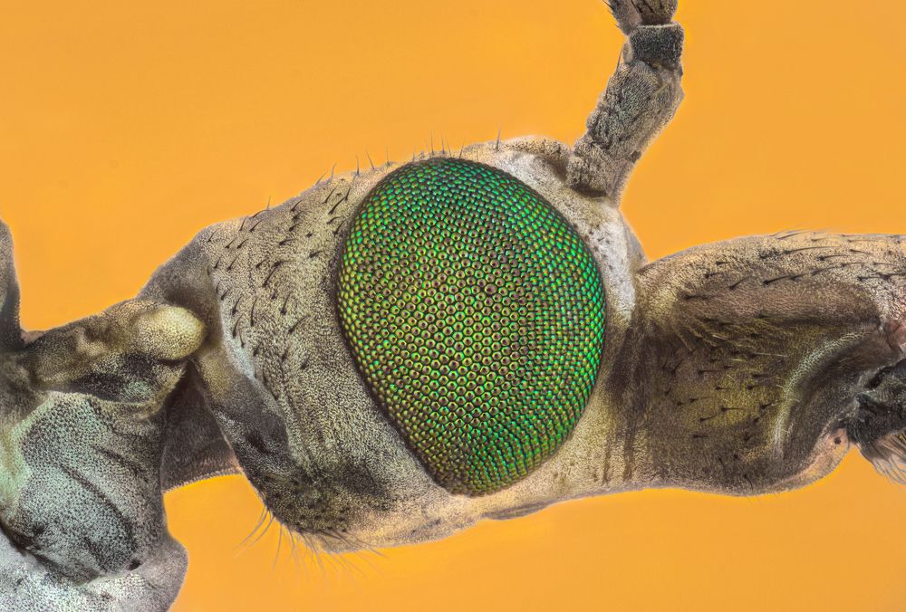 Photograph by Tsvetan Ganev