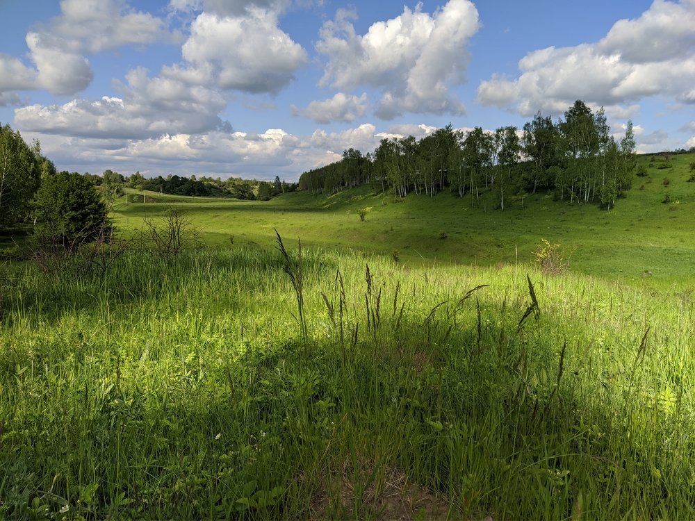 Photograph by Светлана Кондрашова