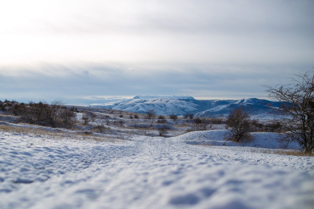 Фотография автора Юлия Трубанова