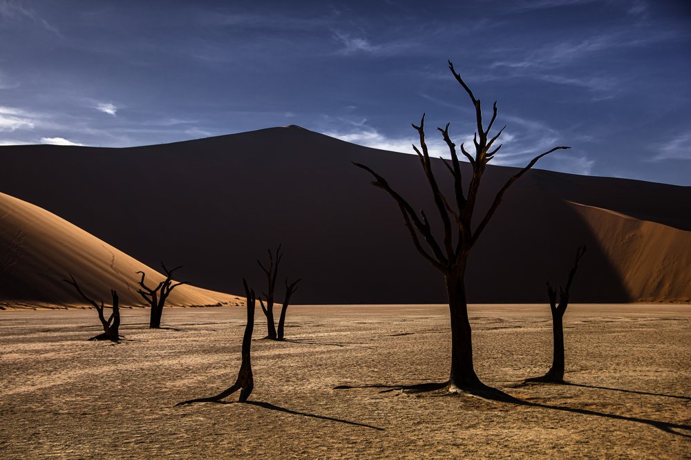 Photograph by Марина Сидоренко