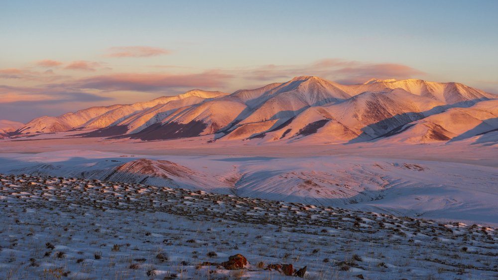 Фотография автора Олег Матроницкий