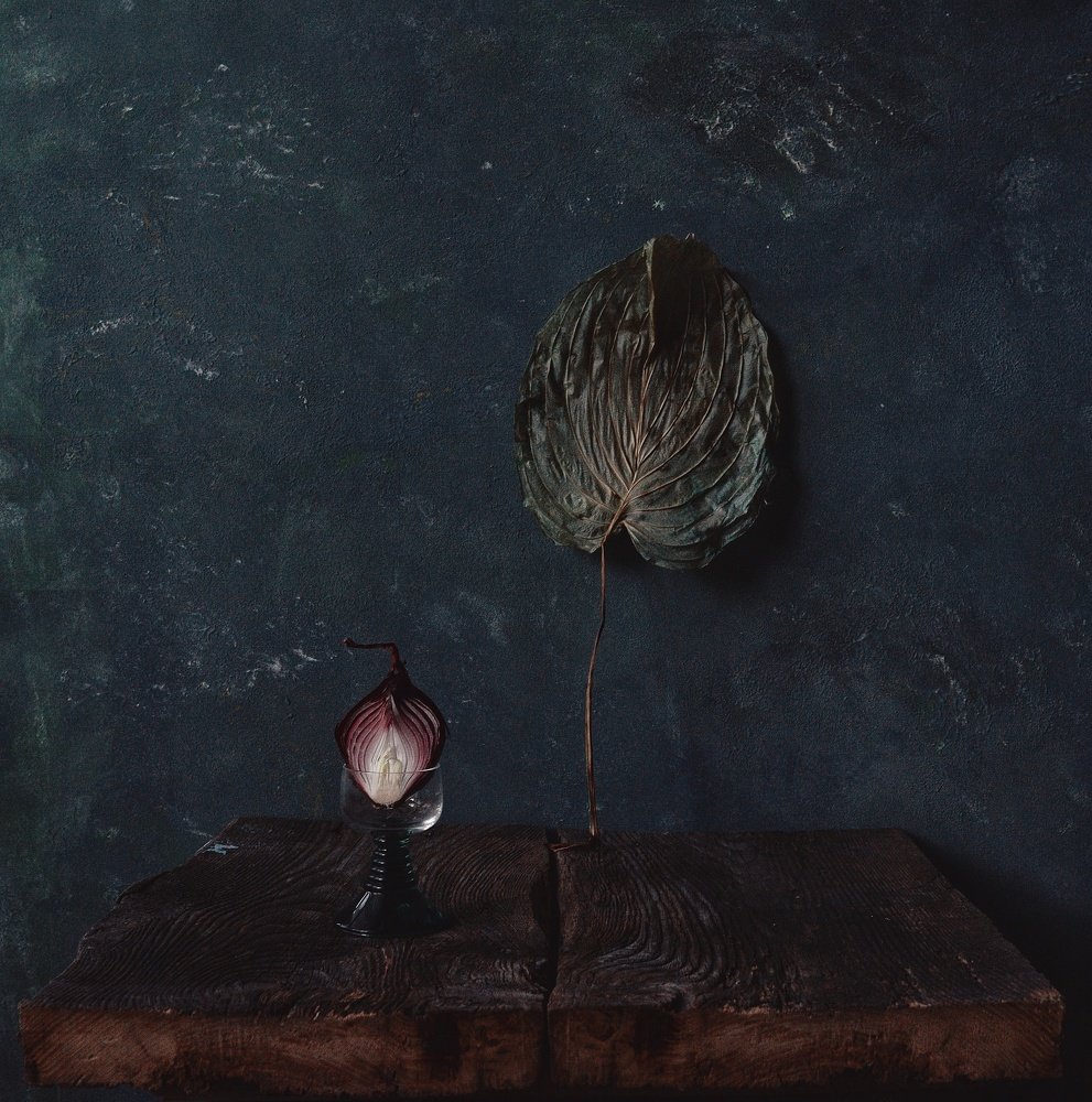 Photograph by Валерия Левшина