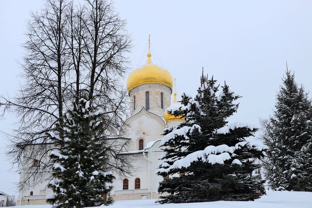 Photograph by Константин Лагоденко