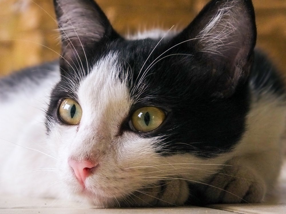 Photograph by Haziq Saufian