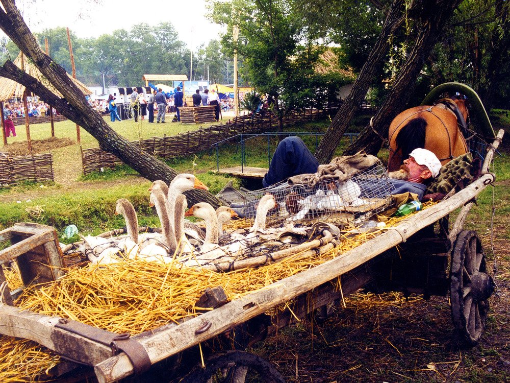 Photograph by аркадий