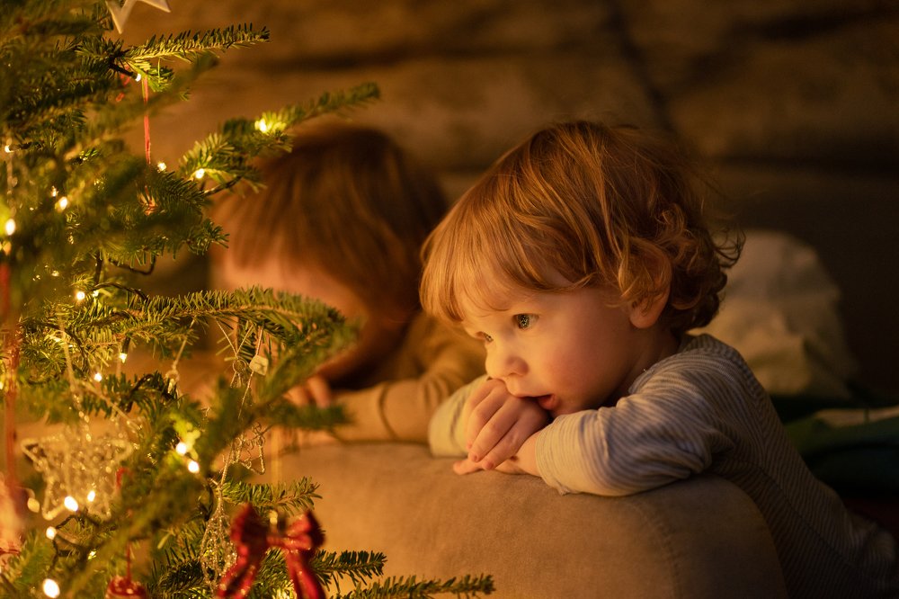 Photograph by Суханова Татьяна