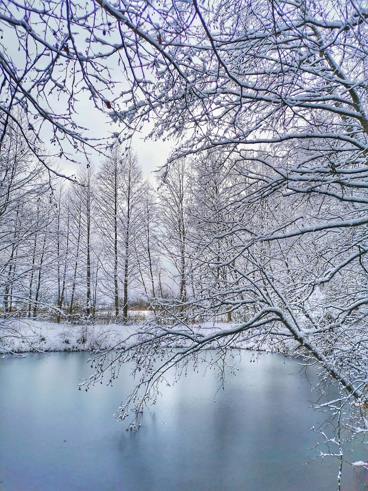 первый снег в декабре