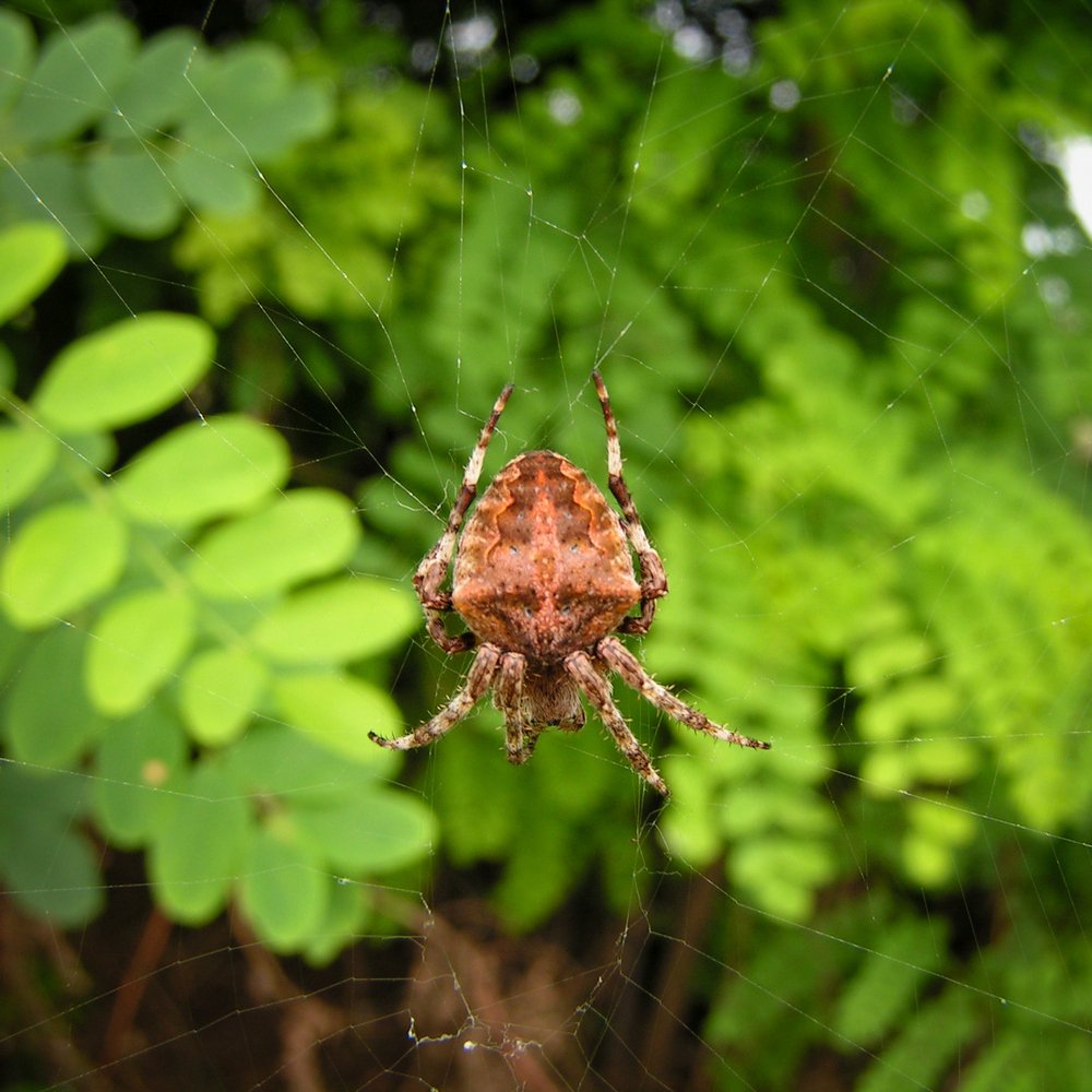 Photograph by Сергей Огромнов