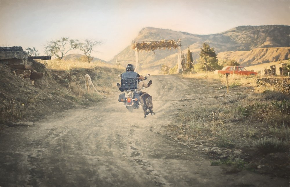 Photograph by Анатолий Климов