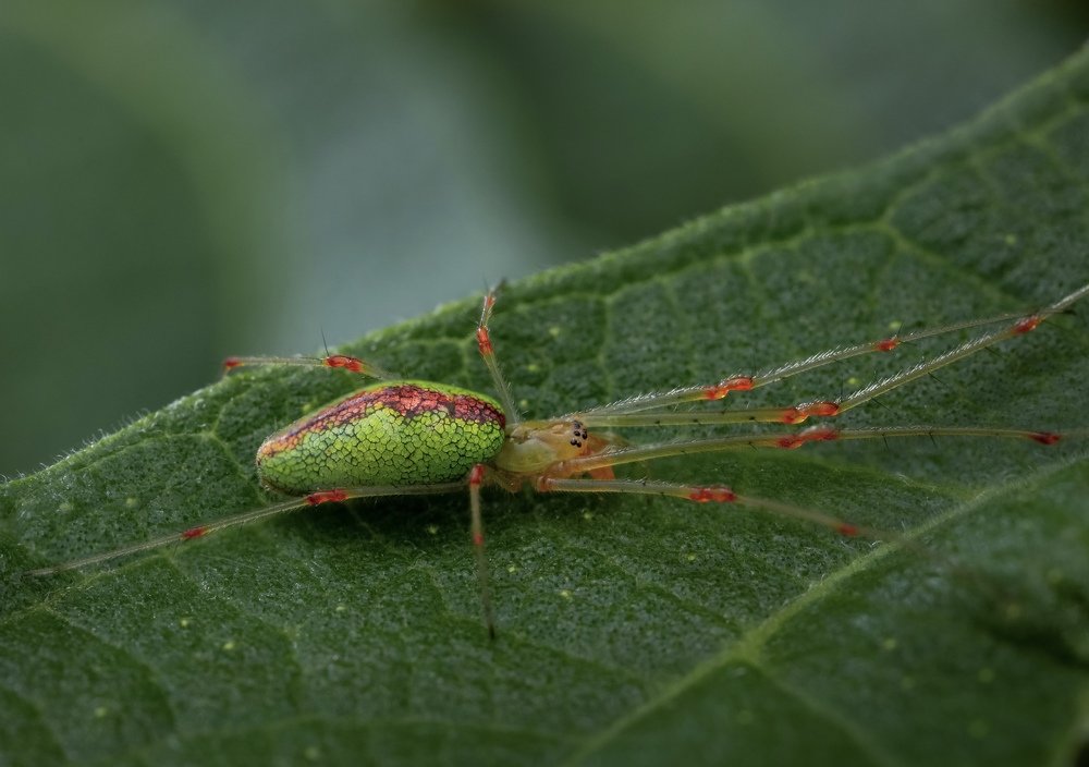 Фотография автора Dolli Pogrebnaya