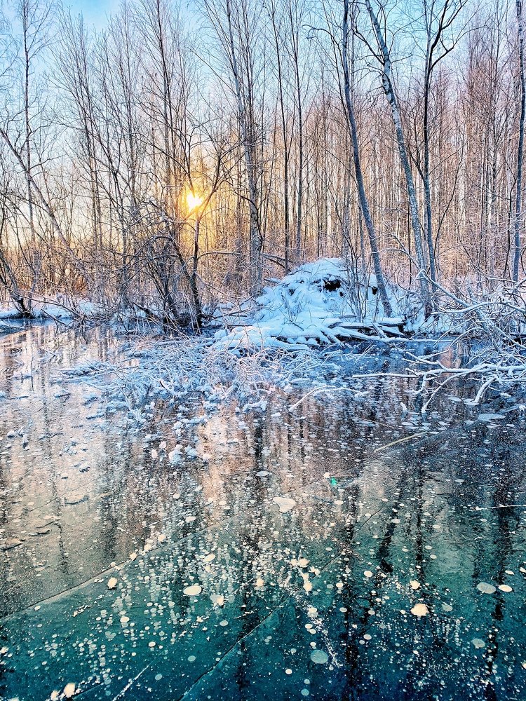 Photograph by Юлия Гусарова