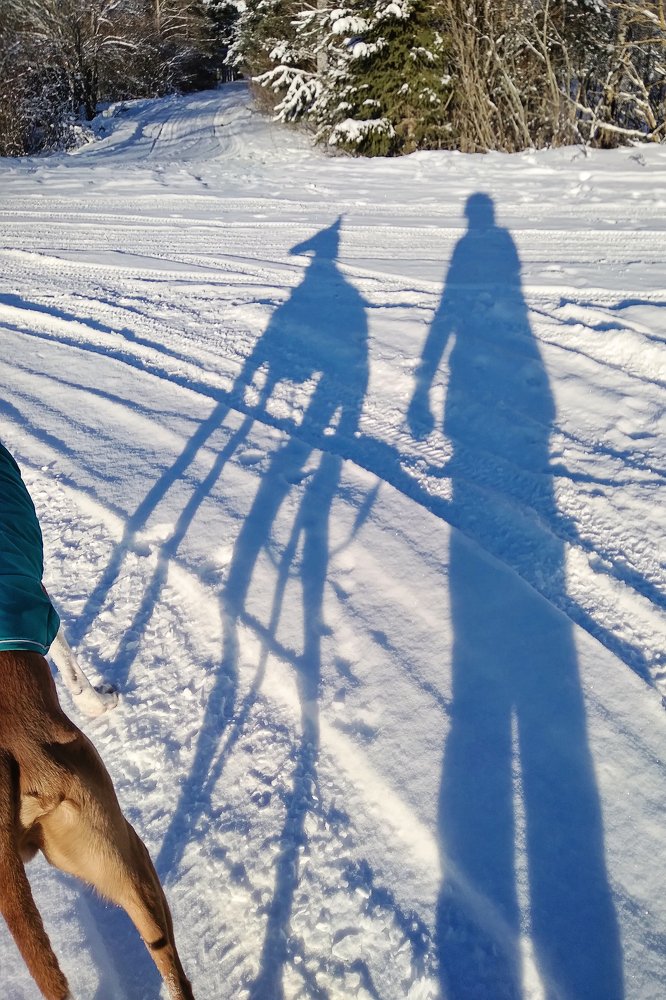 Photograph by Старикова Светлана