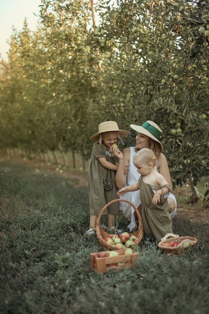 Сбор урожая