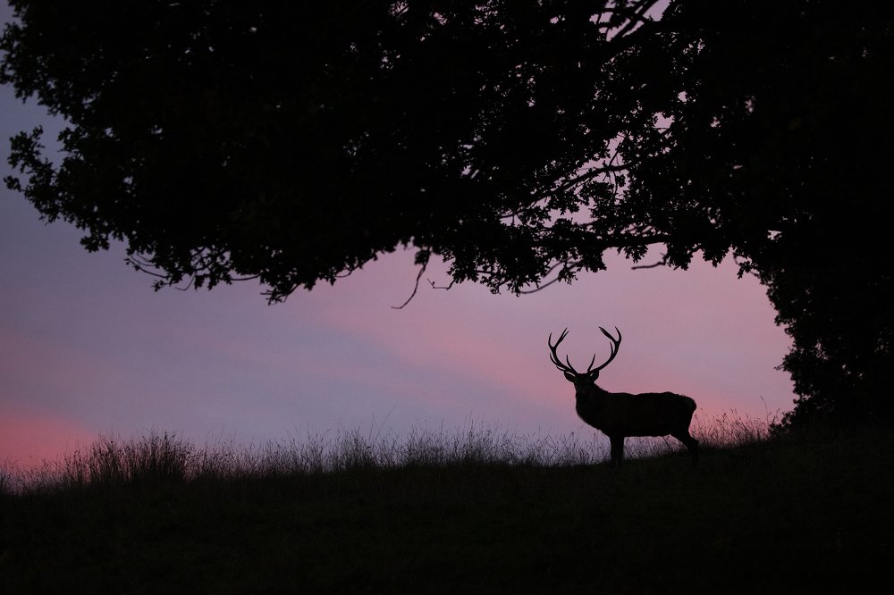 When the sun goes down.