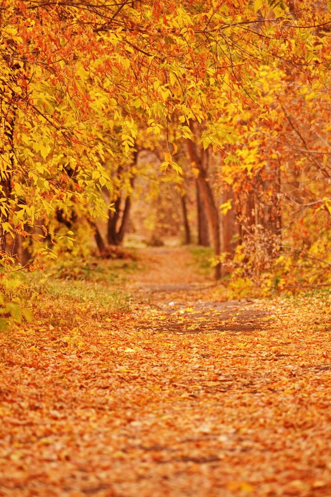 Photograph by Andrey