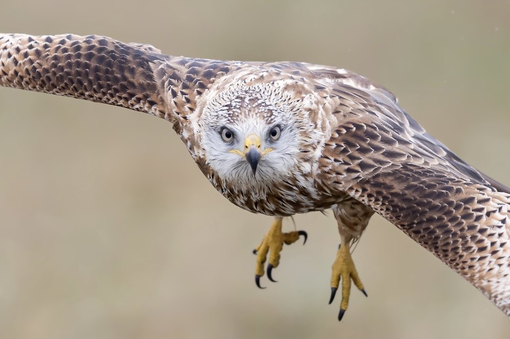 Photograph by Carsten Thamdrup Lund