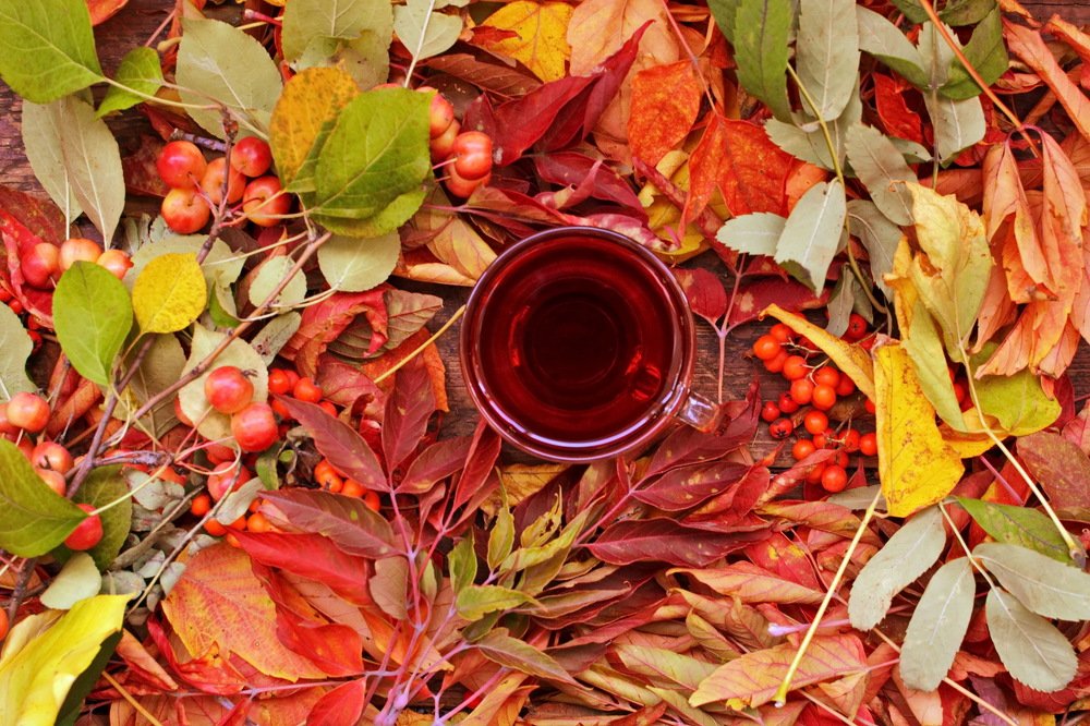 Photograph by Andrey